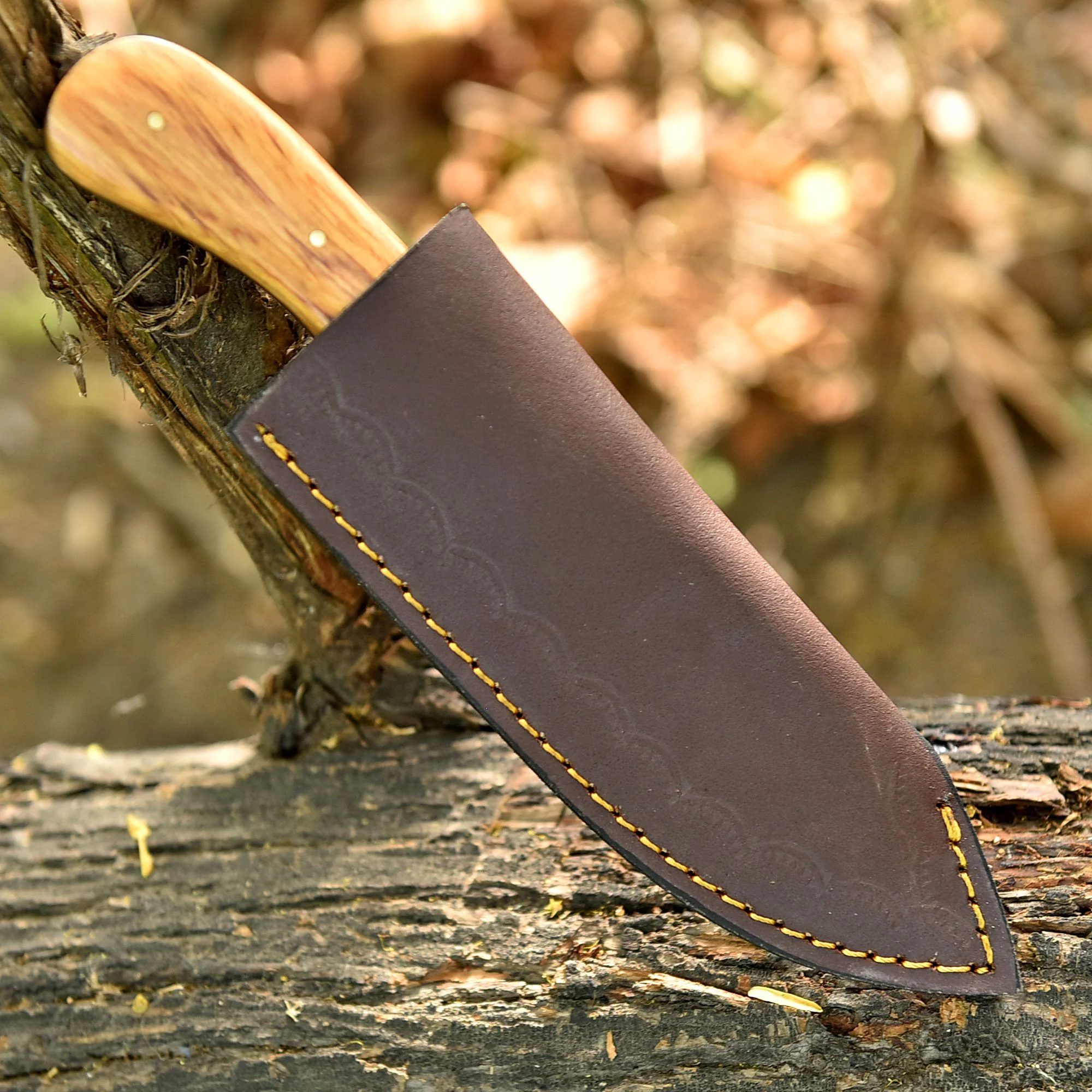 8" Elite Outdoor Damascus Steel Blade Skinner Knife Wood Resin Handle - Image 5