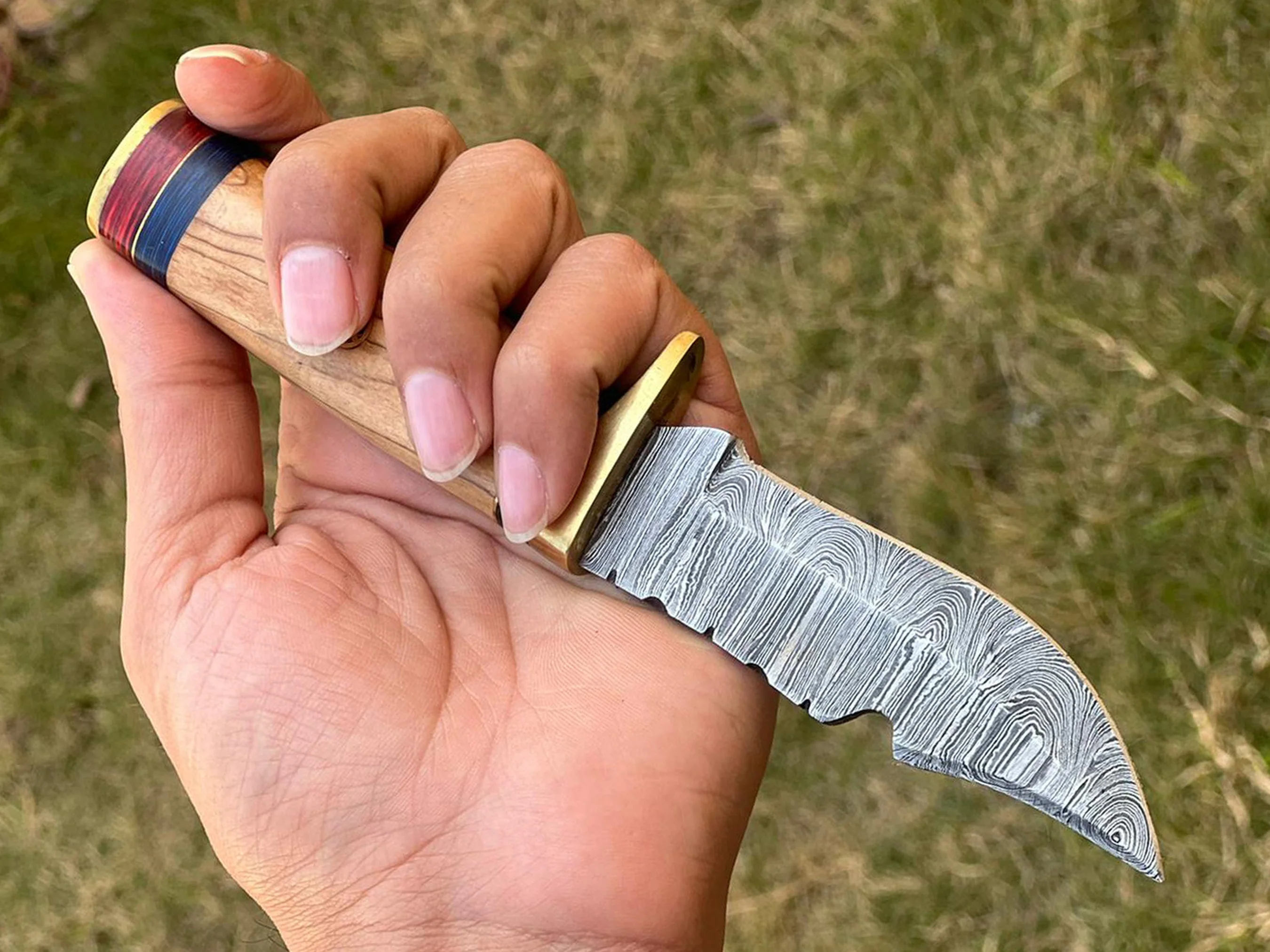 8" Skinning Knife Forged Damascus Fixed Blade - Olive Wood Handle - Image 3