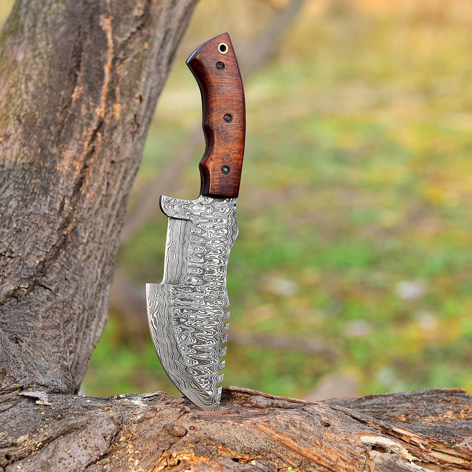 Best Hunting Knife Damascus Fixed Blade Knives Skinner Survival Buck Hunter - Image 3