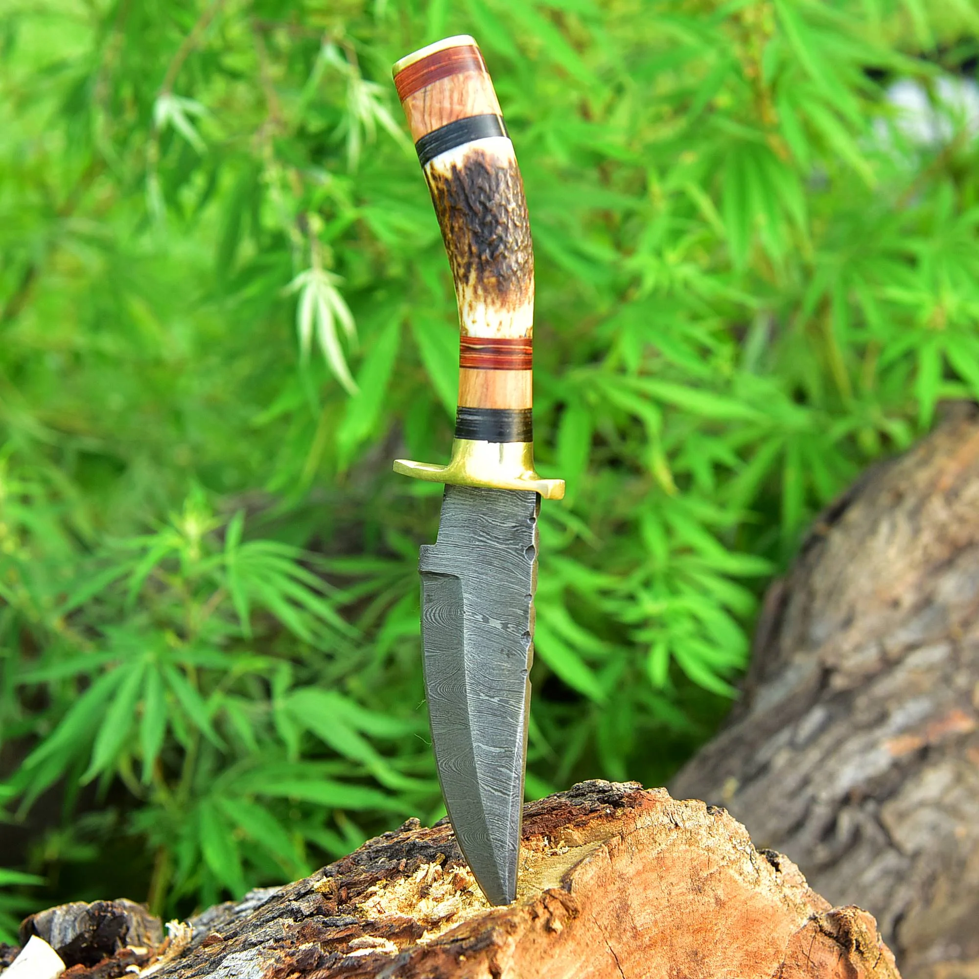 Damascus Steel Fixed Blade Hunting Skinning Knife Deer Stag Handle x-427 - Image 5