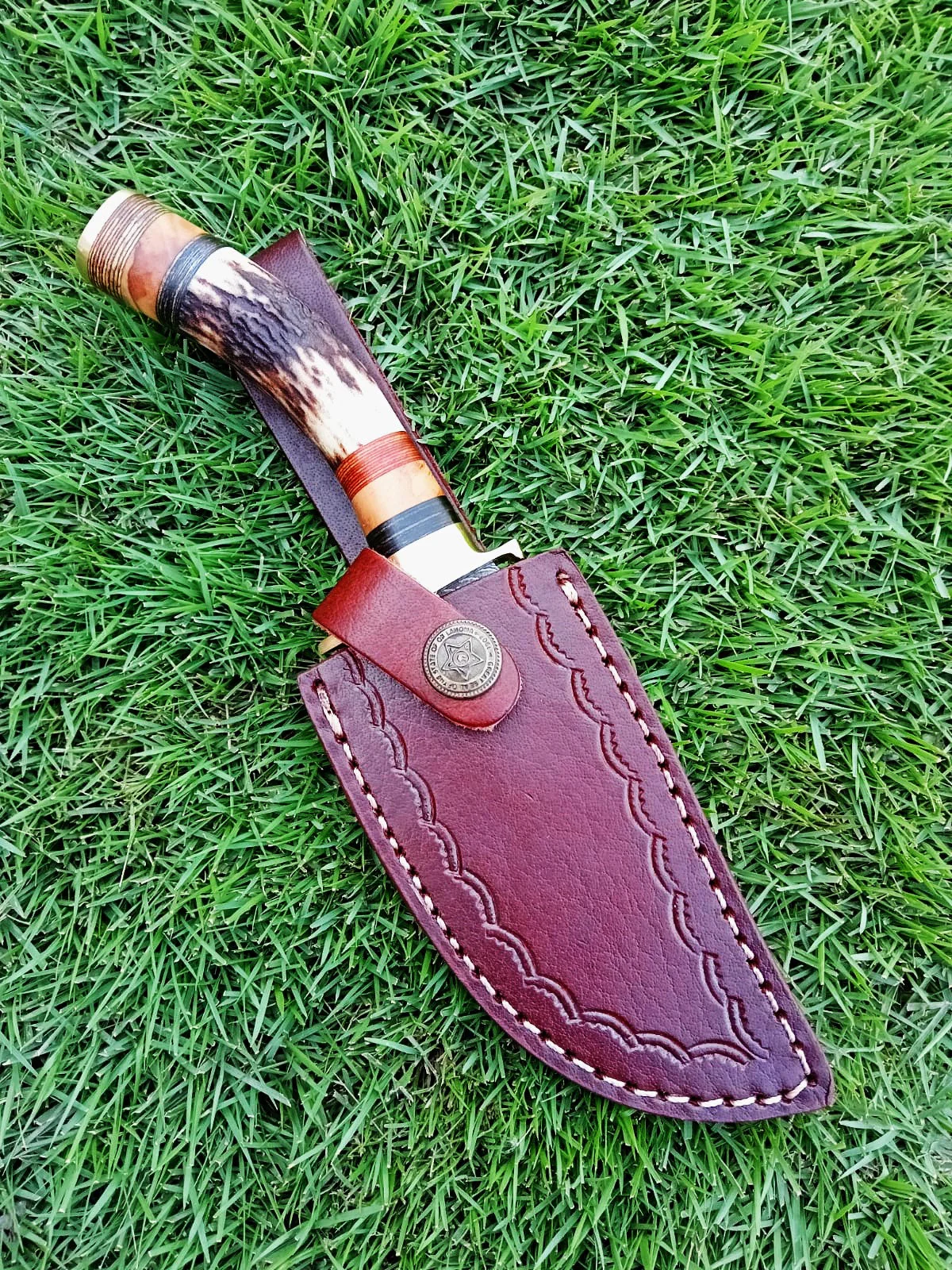 Damascus Steel Fixed Blade Hunting Skinning Knife Deer Stag Handle x-427 - Image 6