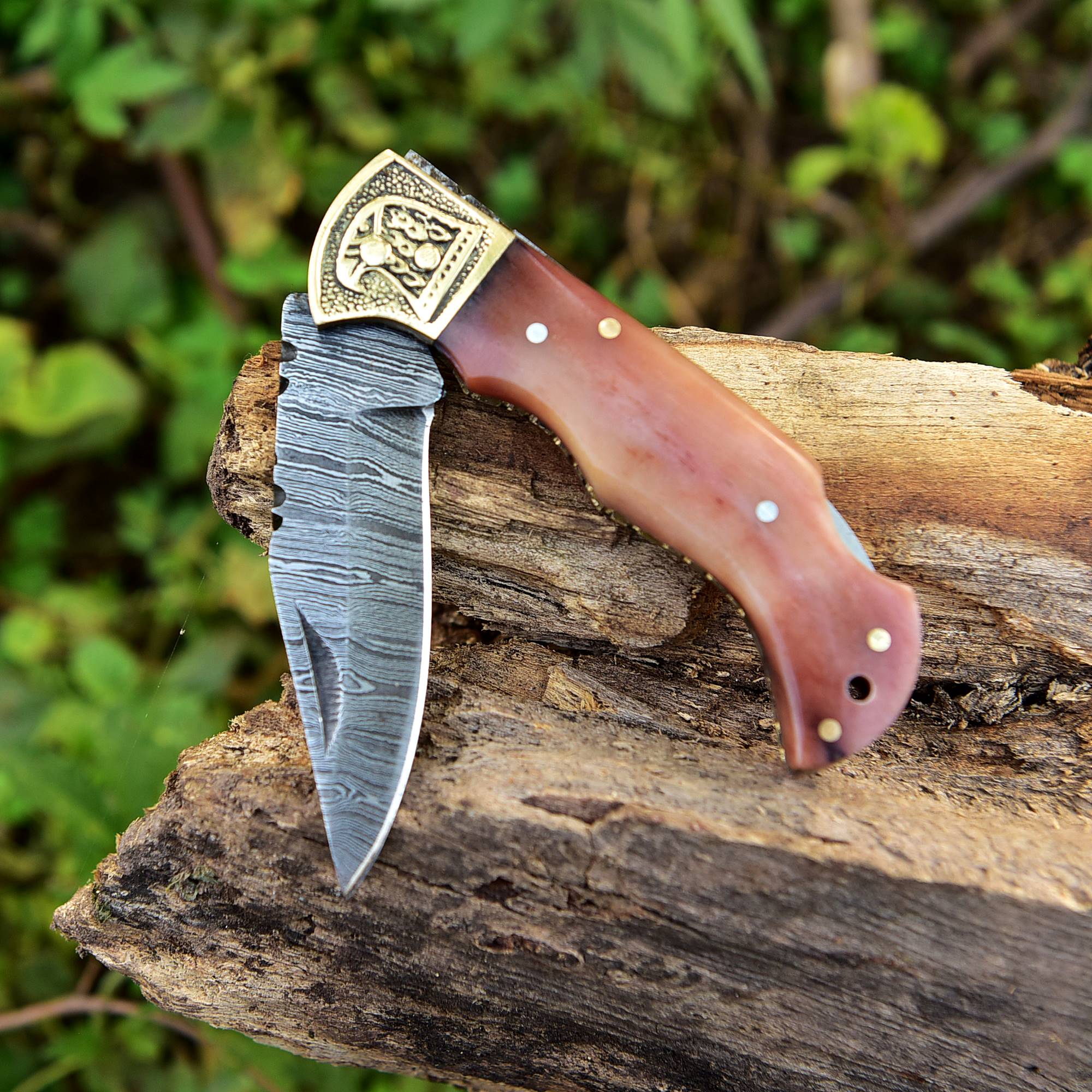 Hand Made Damascus Hunting Folding Knife With Brass Bolster & Bone Handle x751 - Image 5