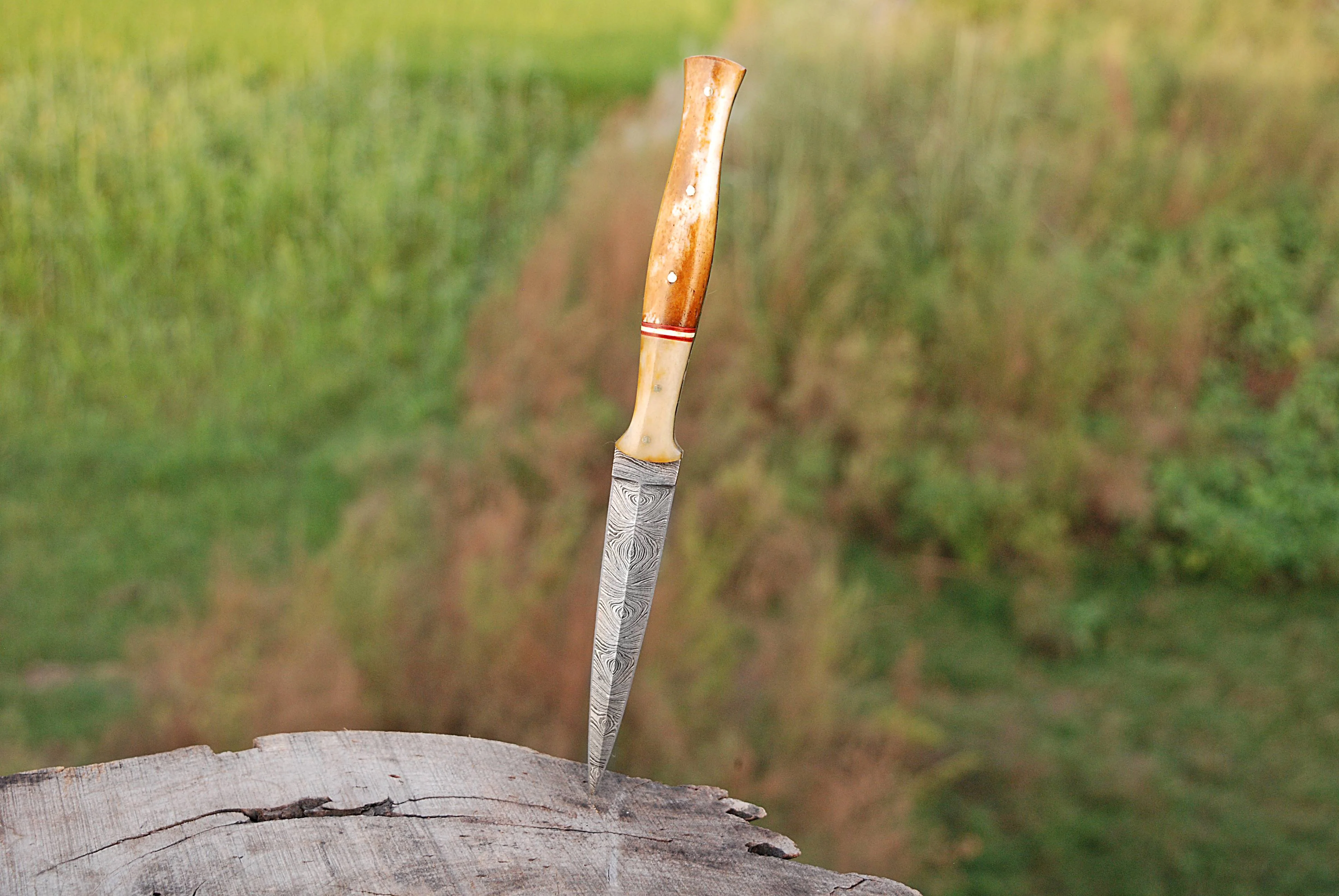 Handmade Damascus Double Edged Blade Knife - Original Camel Bone Handle -x119 - Image 5