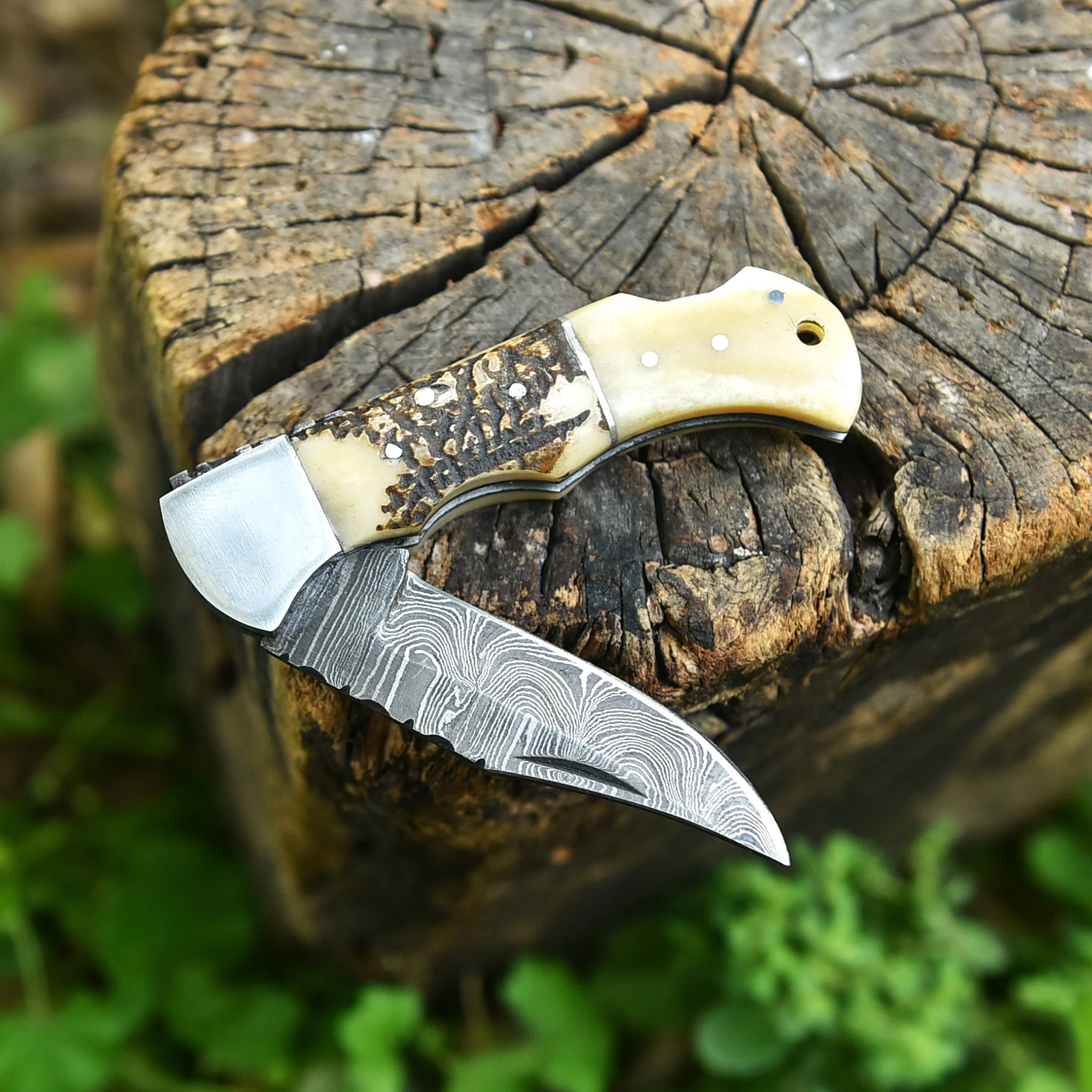Professional Damascus Steel EDC Folding Knife Stage Camel Bone Handle - Image 4