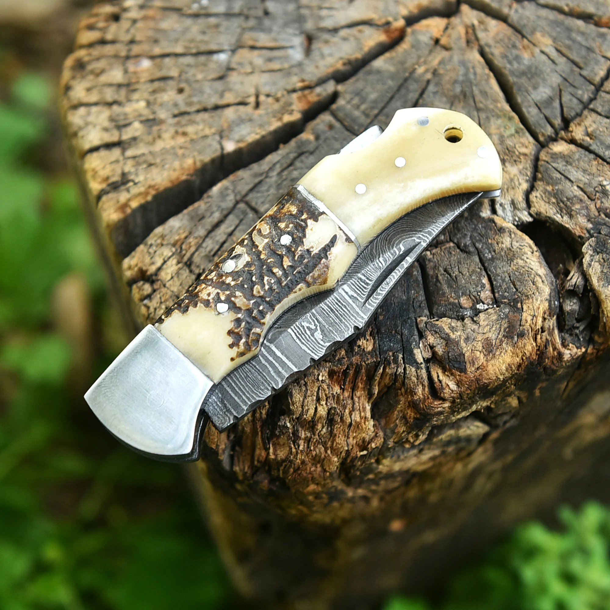 Professional Damascus Steel EDC Folding Knife Stage Camel Bone Handle - Image 5